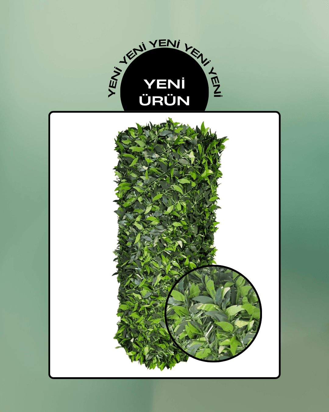 Yapraklı Çim Çit
